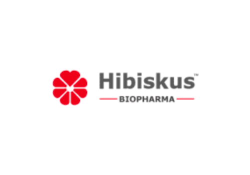 hibiskus_1.png