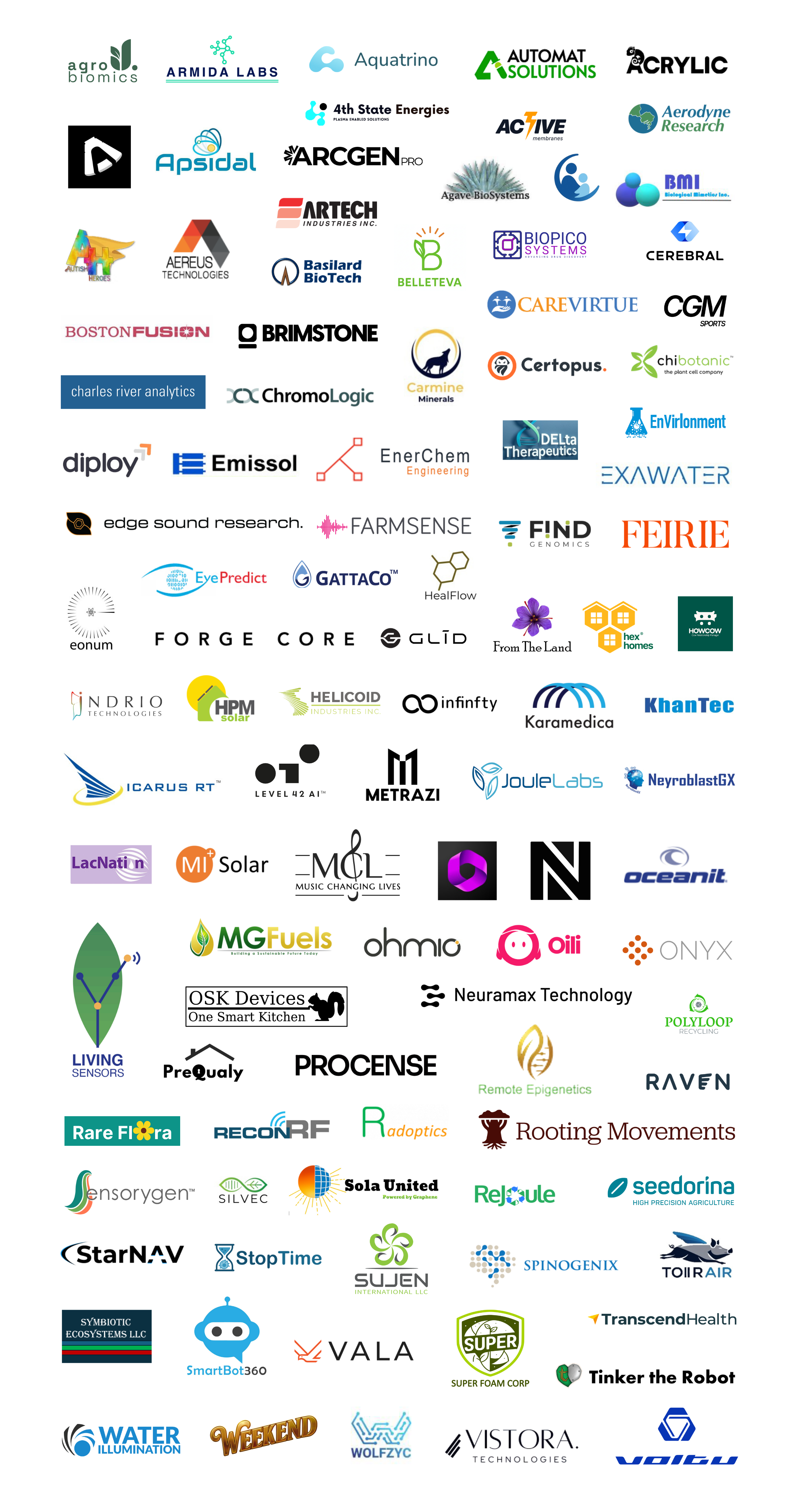 Our Portfolio of Companies