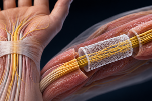 Conceptual illustration of a piezoelectric scaffold designed to promote nerve regeneration. Researchers in Dr. Jin Nam's lab implant a piezoelectric nerve guidance scaffold during a preclinical sciatic nerve surgery, demonstrating the technology's potential to support nerve repair and regeneration.