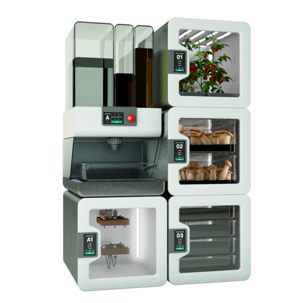 Seedorina_Nolux Concept Image