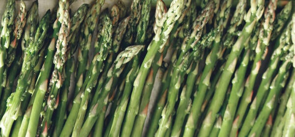 Excalibur™ Asparagus