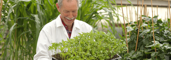 Professor of nematology holding a tray of plants at the greenhouse