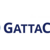 Gattaco