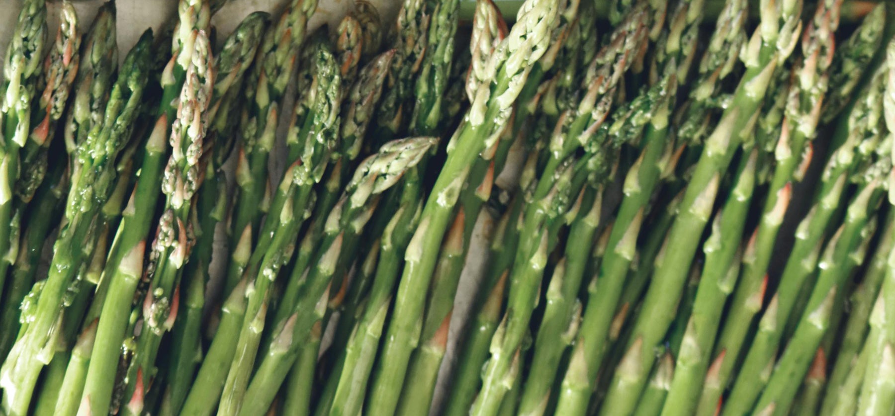 Excalibur™ Asparagus