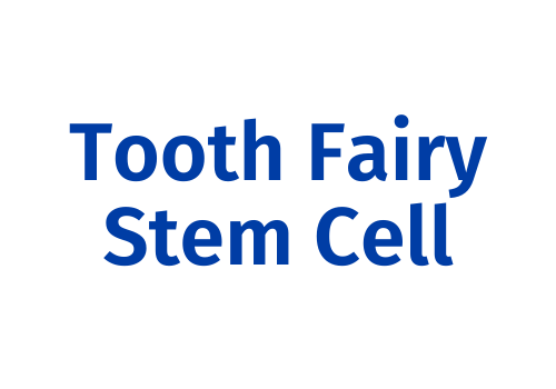 tooth_fairy_stem_cell_1.png