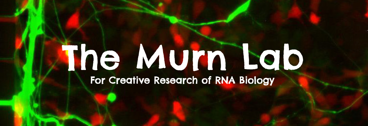 Murnlab Murnlab